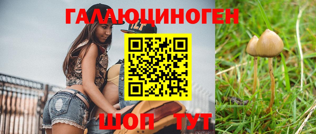 Псилоцибиновые грибы мицелий  Вход с VPN  Серпухов 